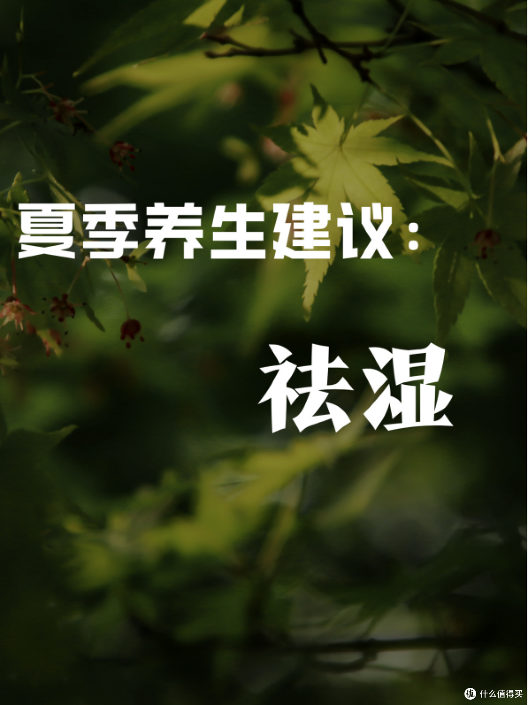 夏季养生建议：祛湿！