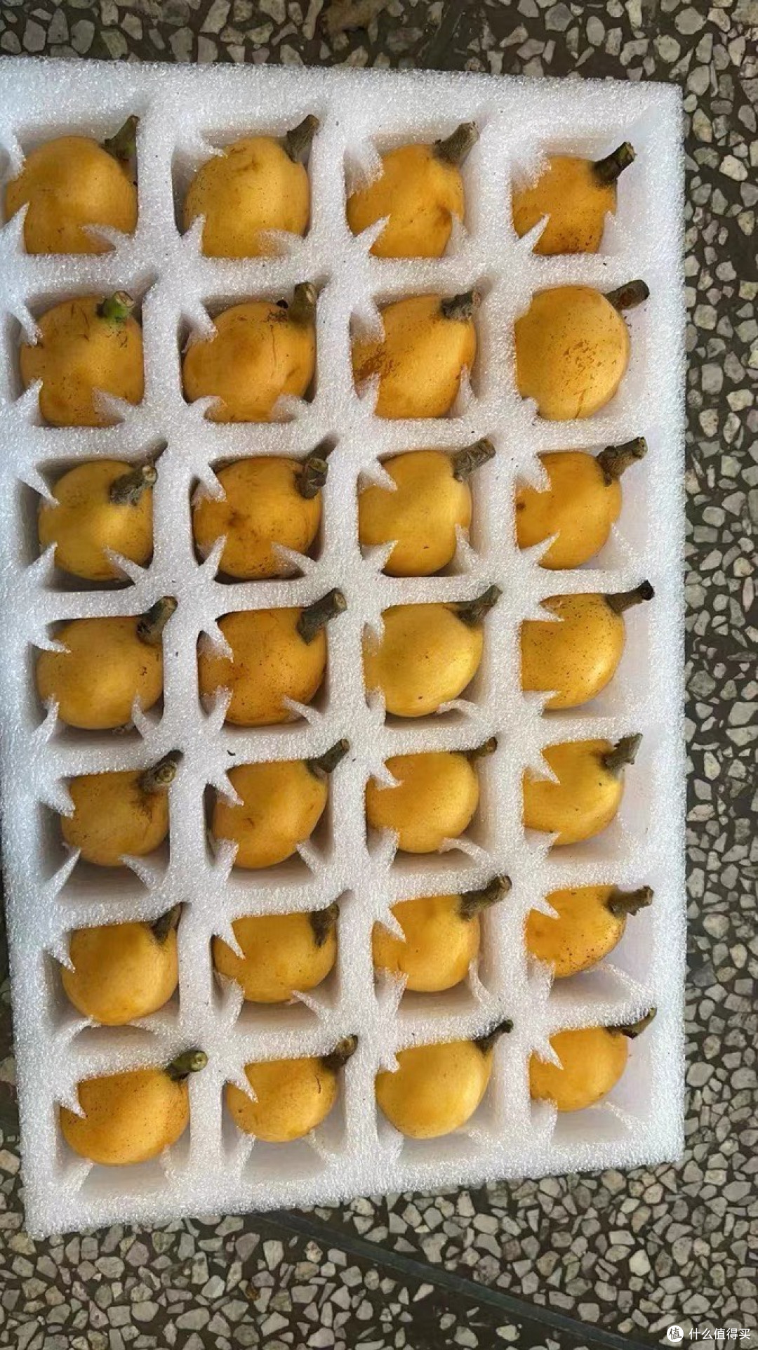 宁海白枇杷:浙东沿海的"百果奇珍"