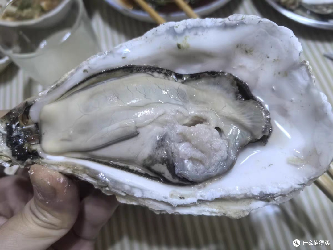 从海洋瑰宝到文化符号的多维解析