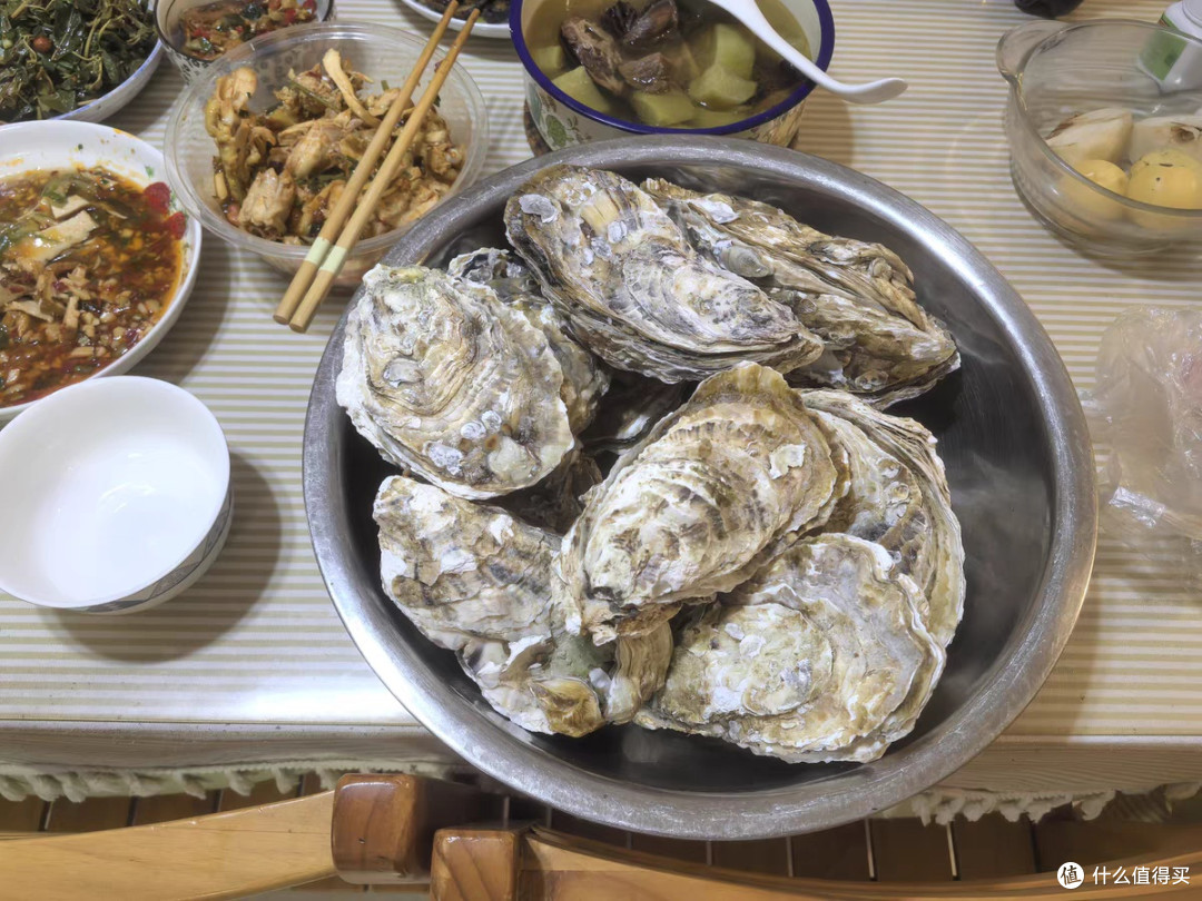 从海洋瑰宝到文化符号的多维解析