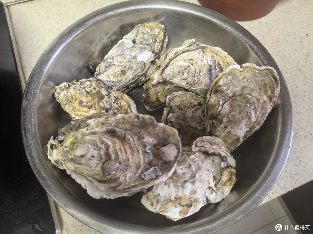 从海洋瑰宝到文化符号的多维解析