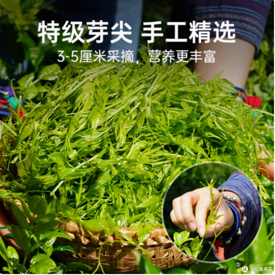 邂逅半山梦,沉醉莓茶香
