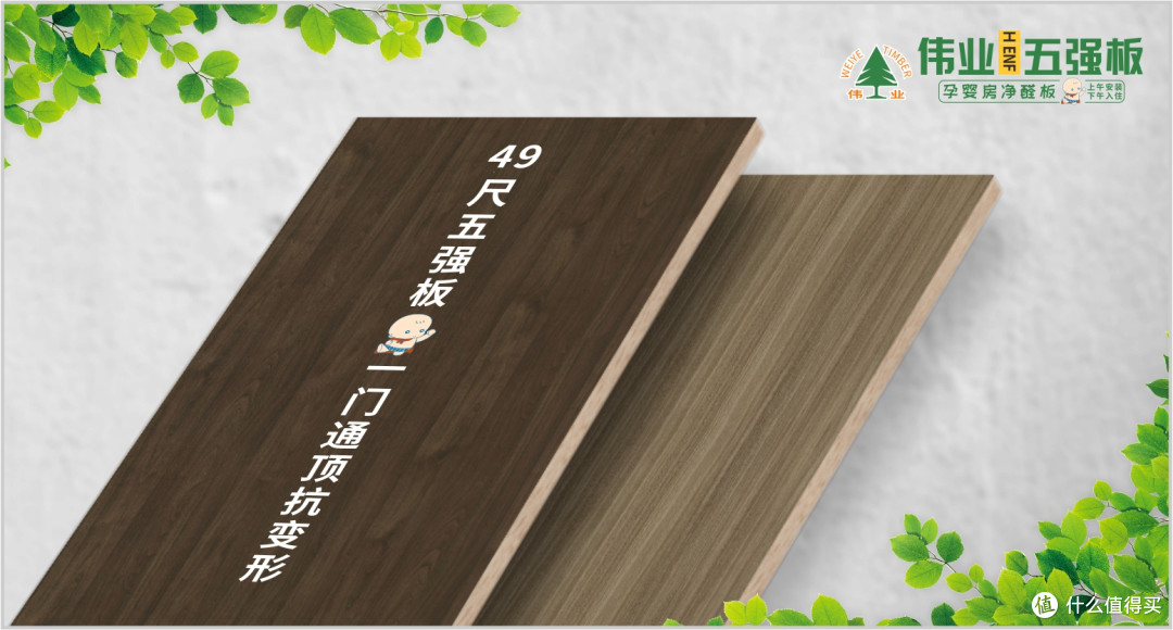24小时急入住?伟业五强板用无机胶写‘生死状’,彻底颠覆行业