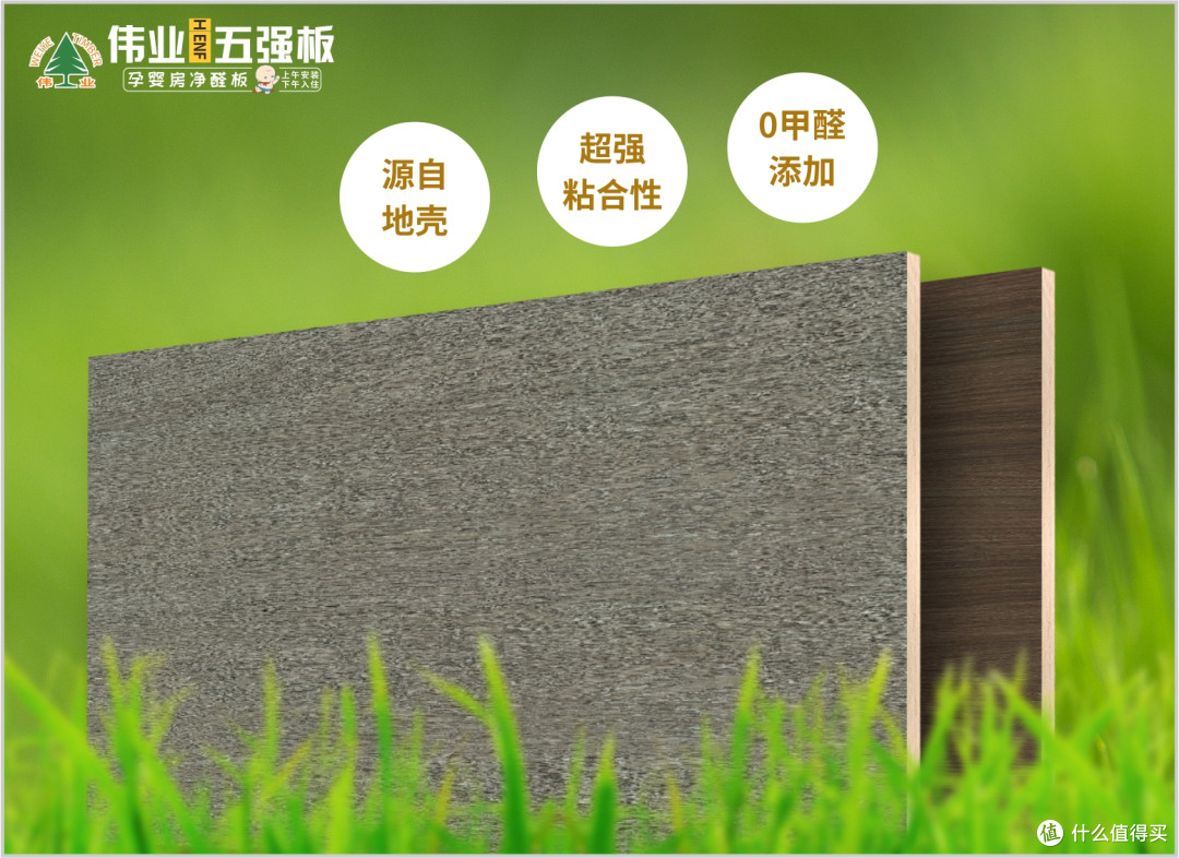 家装选板别踩坑！伟业五强板用无机生态胶守护健康家！