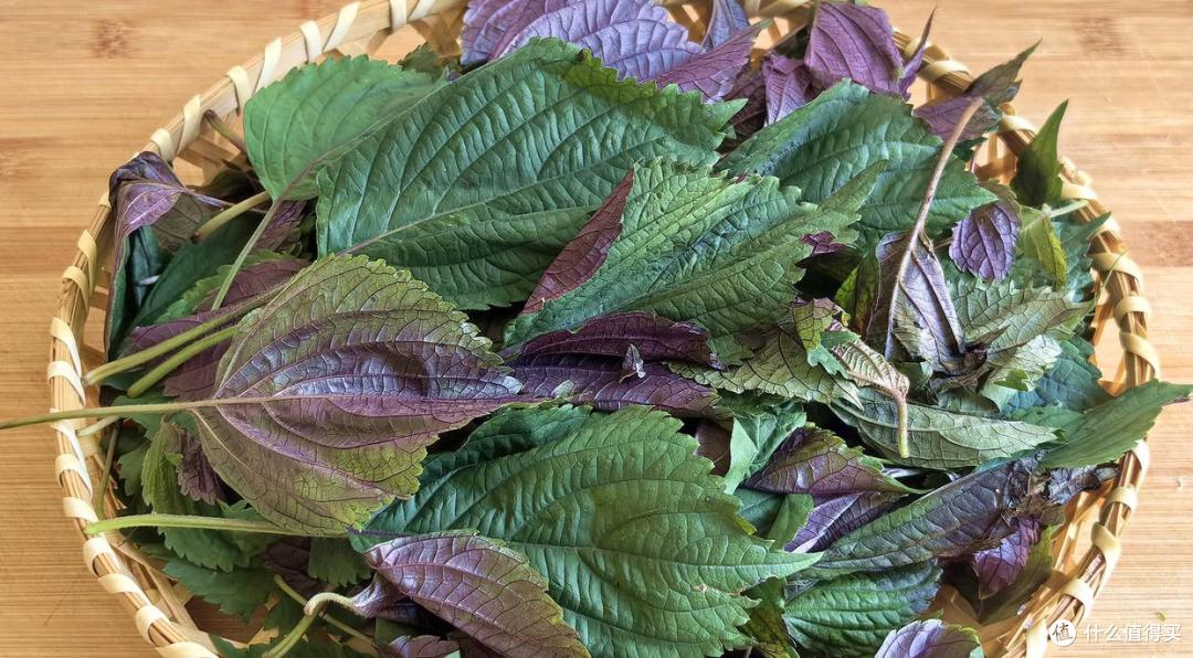 夏季推荐多食用含“天然青霉素”的蔬菜,增强免疫力,提升健康!