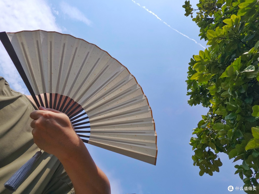 刚柔并济的东方美学:费戈轻风茄头钛扇
