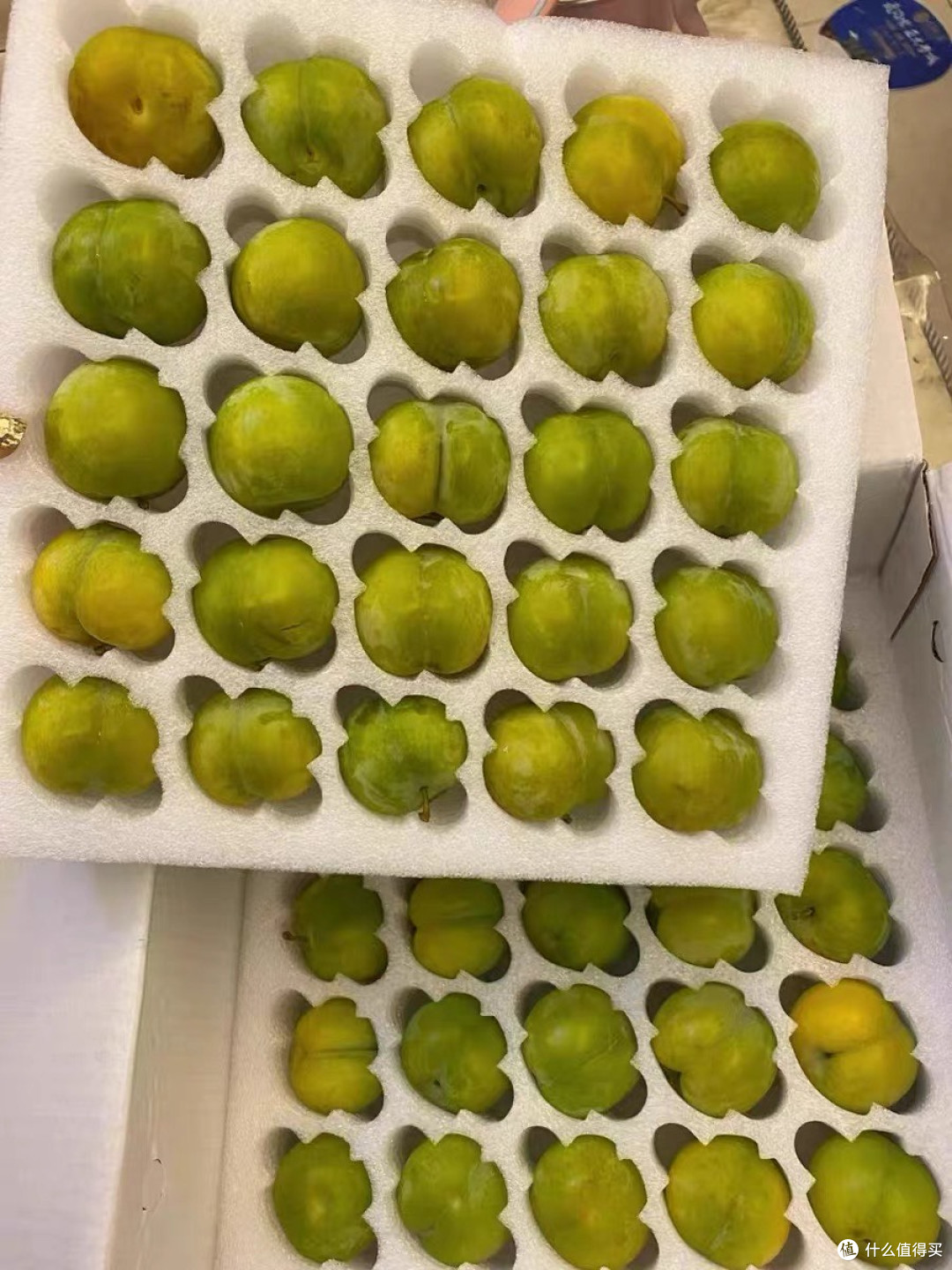 甜蜜暴击！贵州六马蜂糖李：一口咬下，颠覆你对李子的所有想象