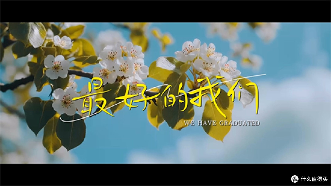 图9：添加标题效果