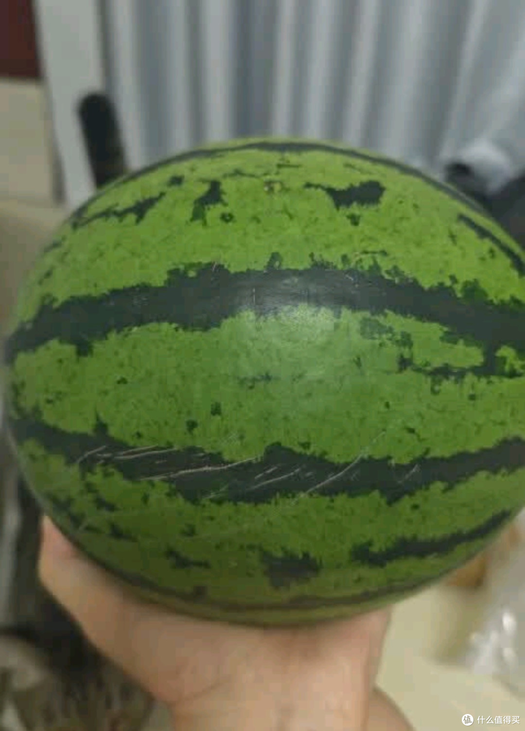 春福乐麒麟西瓜:盛夏的甜蜜馈赠