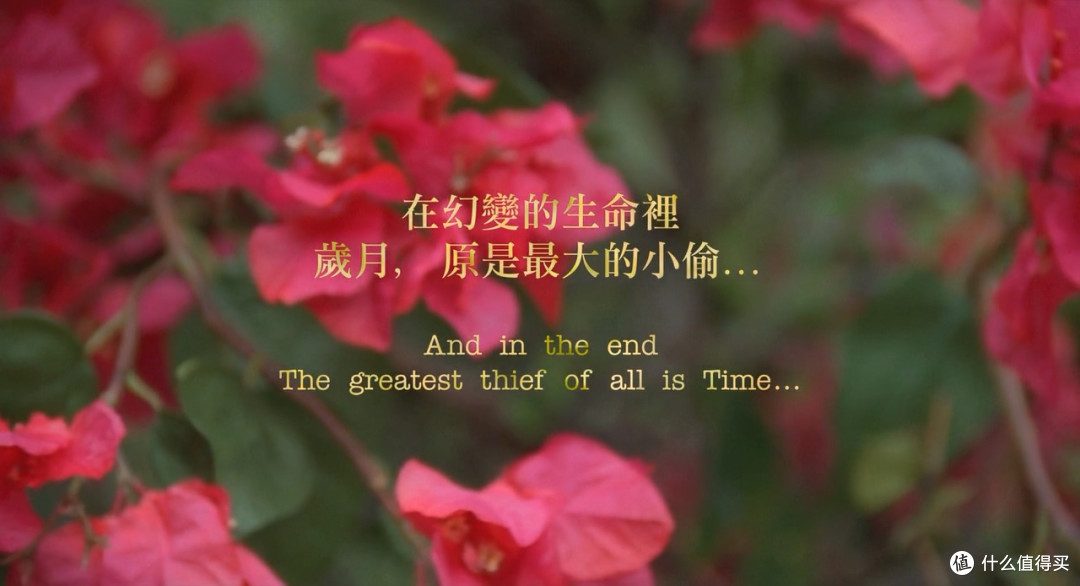 时光总是在不经意地溜走《岁月神偷》不可错过的电影原声音乐