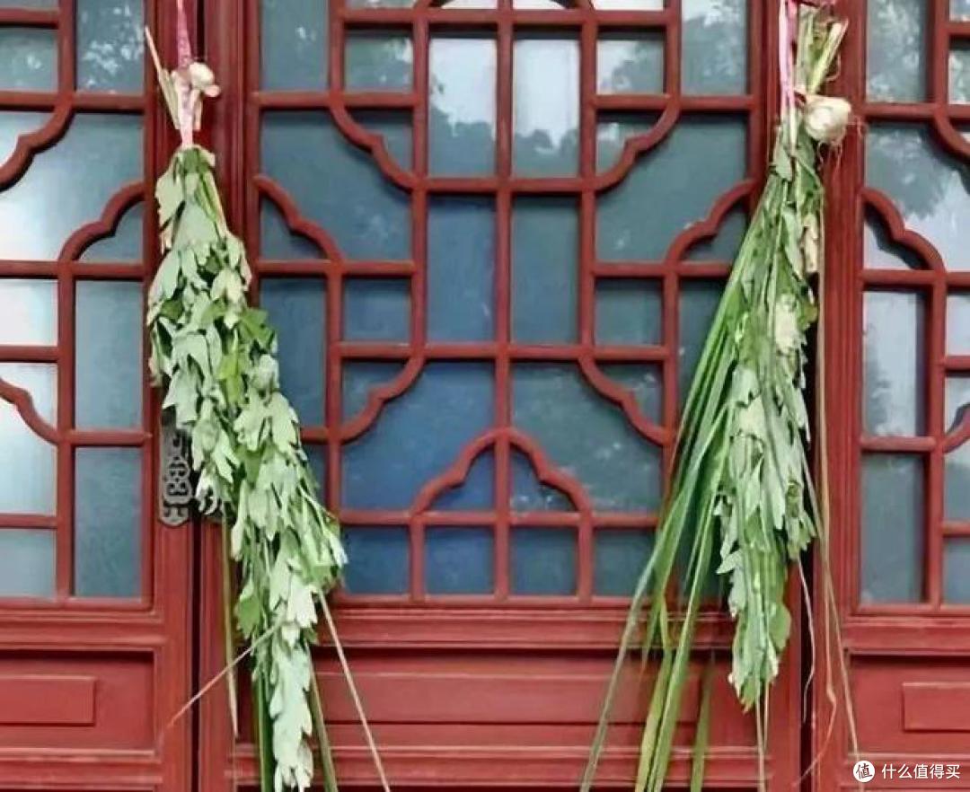 “艾草6不挂，挂了难安康”，端午将至，挂艾草别挂错，建议了解