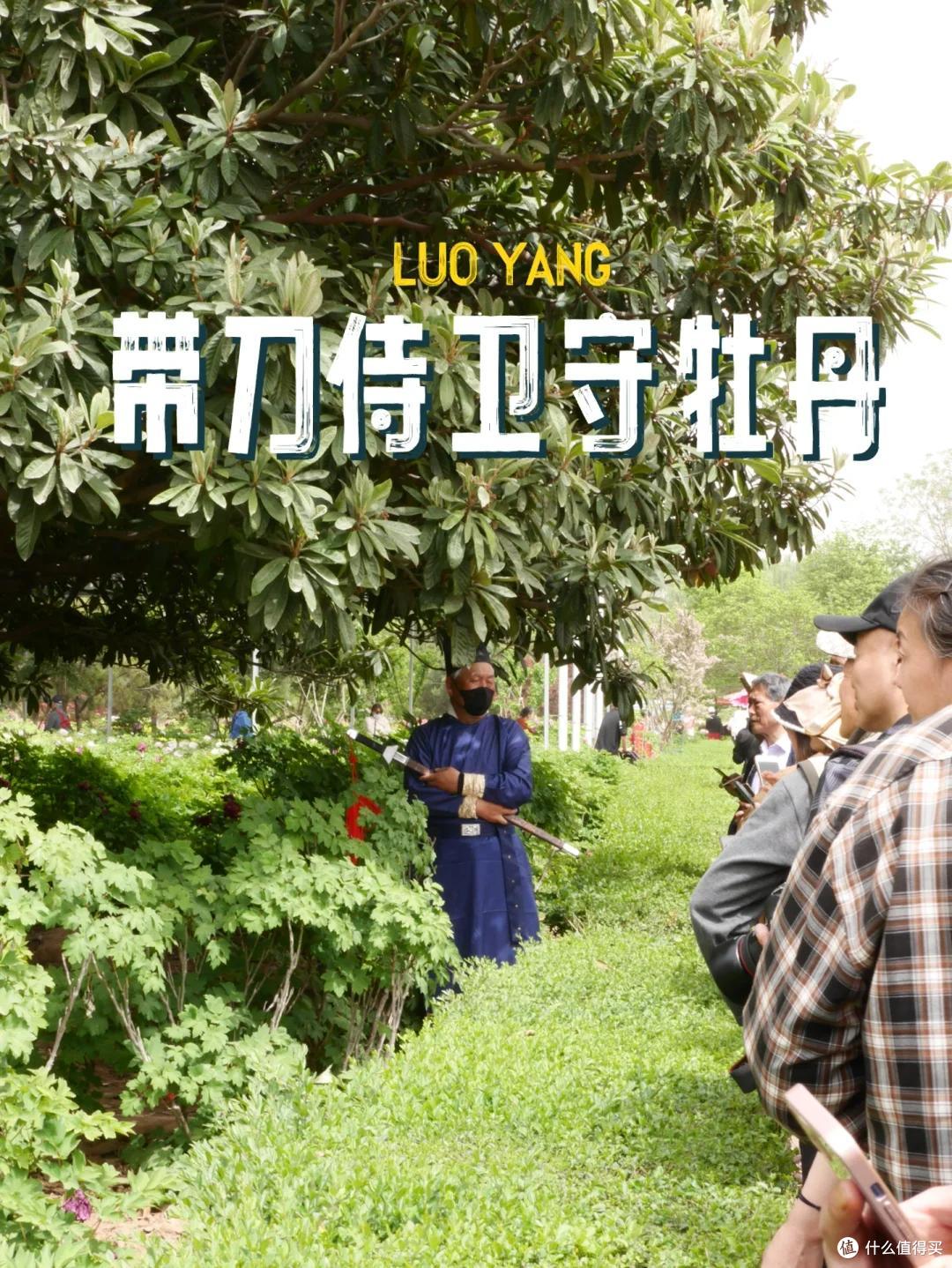 全国唯一一株牡丹花盛开,带刀侍卫24小时看守,只能看30秒,太牛