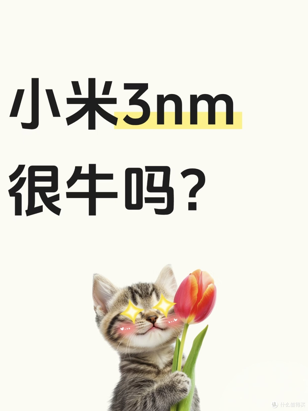 小米新处理器:又一颗中国“芯”!