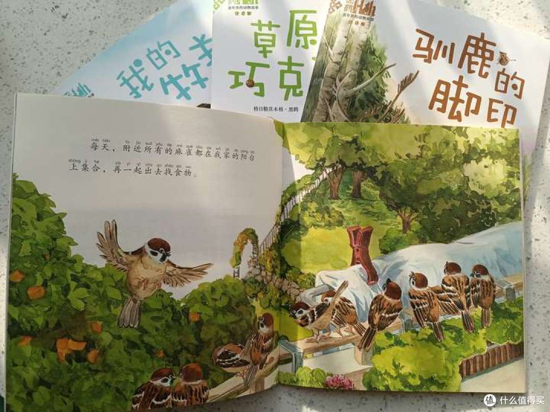 如何回答“大灰狼为什么要吃掉小白兔，小白兔又没有做错事情？”