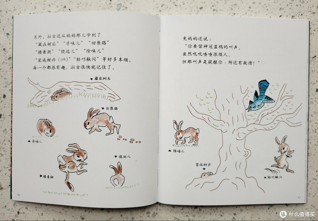 如何回答“大灰狼为什么要吃掉小白兔，小白兔又没有做错事情？”