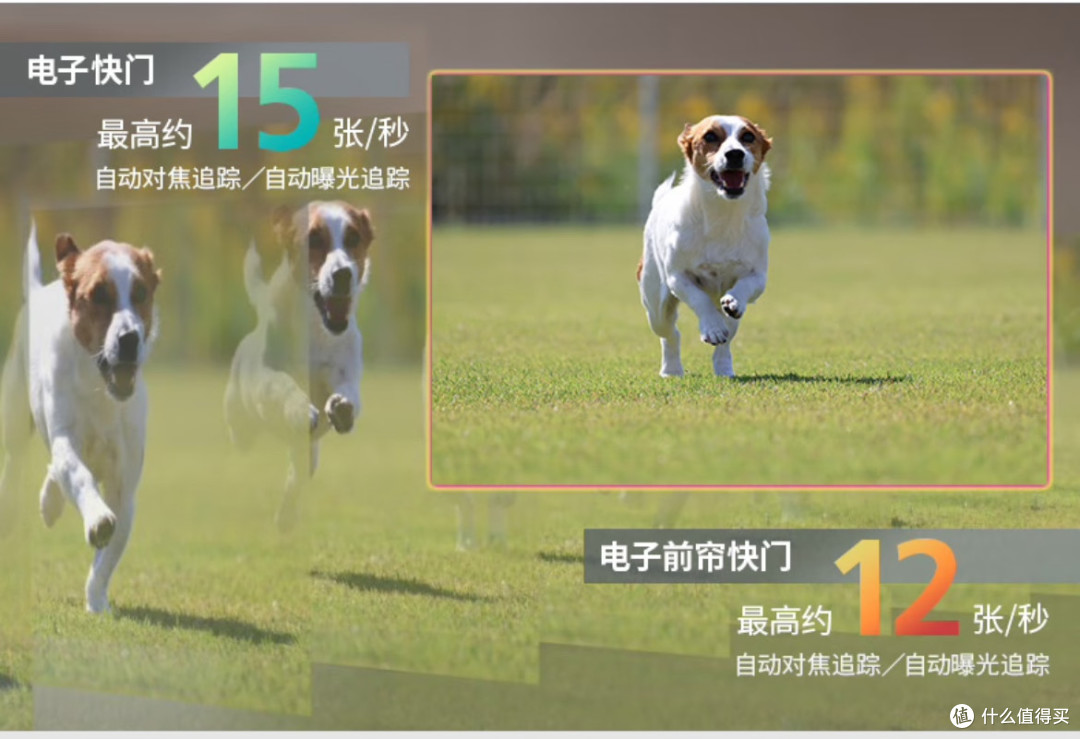电商大战我来买|心仪已久的微单—佳能R50!