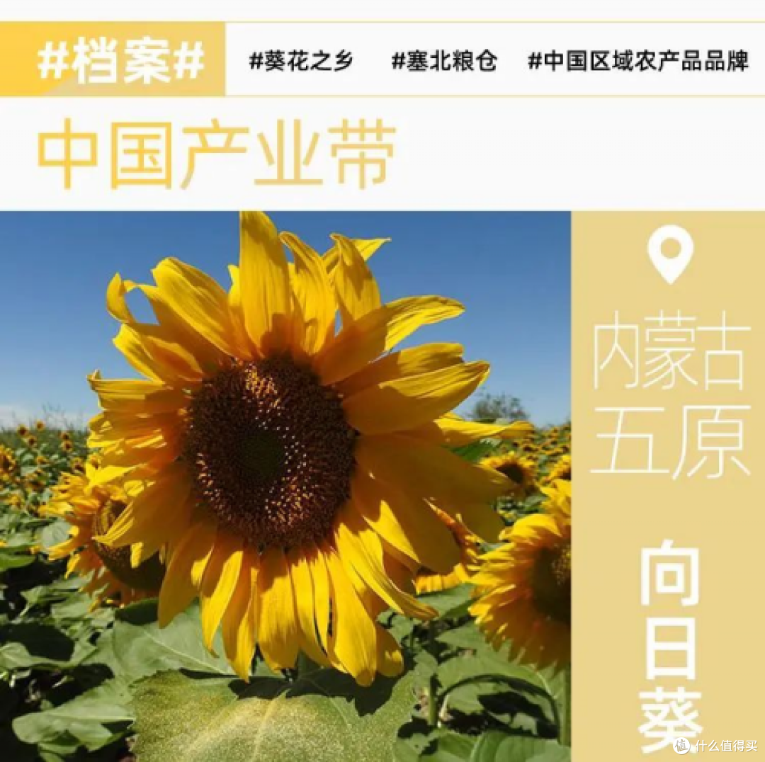 淘宝天下助力擦亮农产品公共品牌