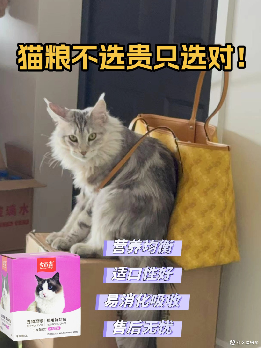 猫粮推荐平价,10块左右的猫粮真的很不错！