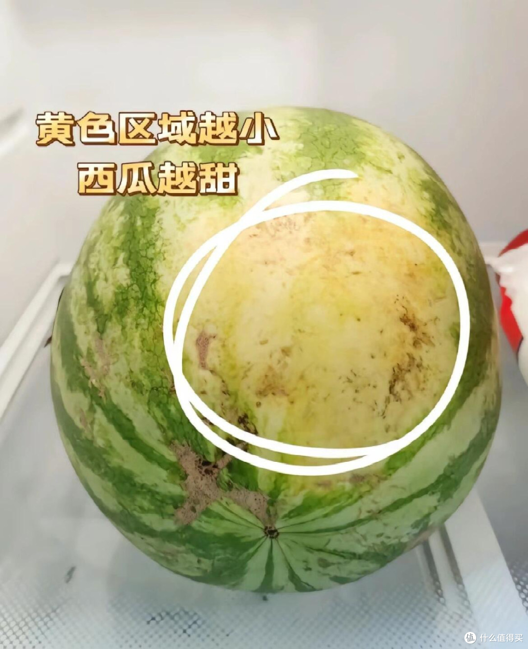 夏日挑瓜秘籍|轻松get超甜梦中情瓜🍉
