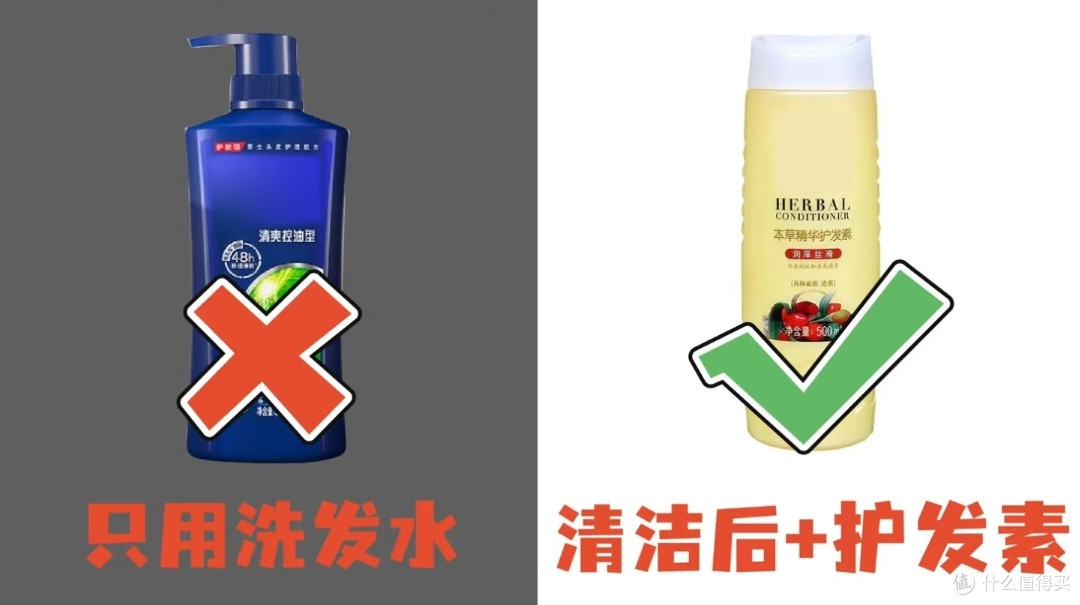 夏日新宠物,养芒狗详细教程分享!