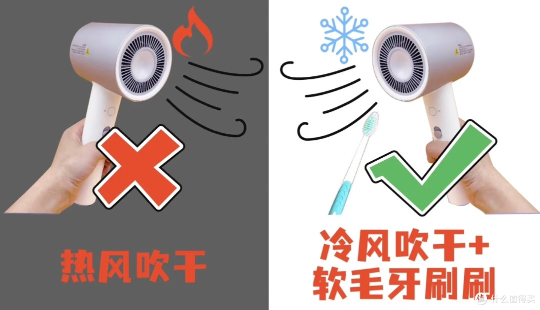 夏日新宠物,养芒狗详细教程分享!