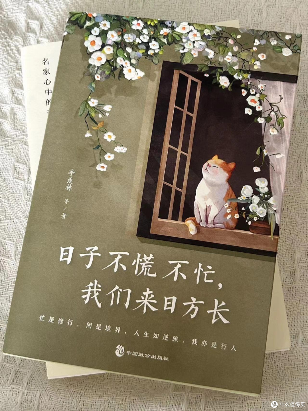 岁月静好，素心悦生活！
