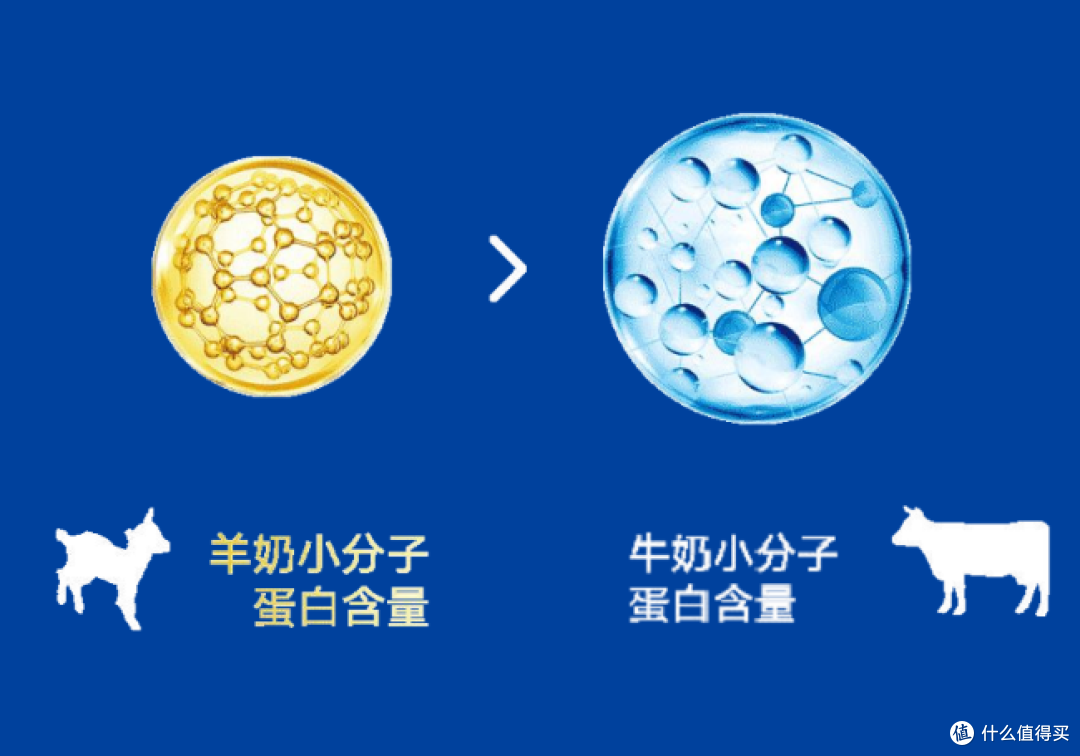 图片15.png