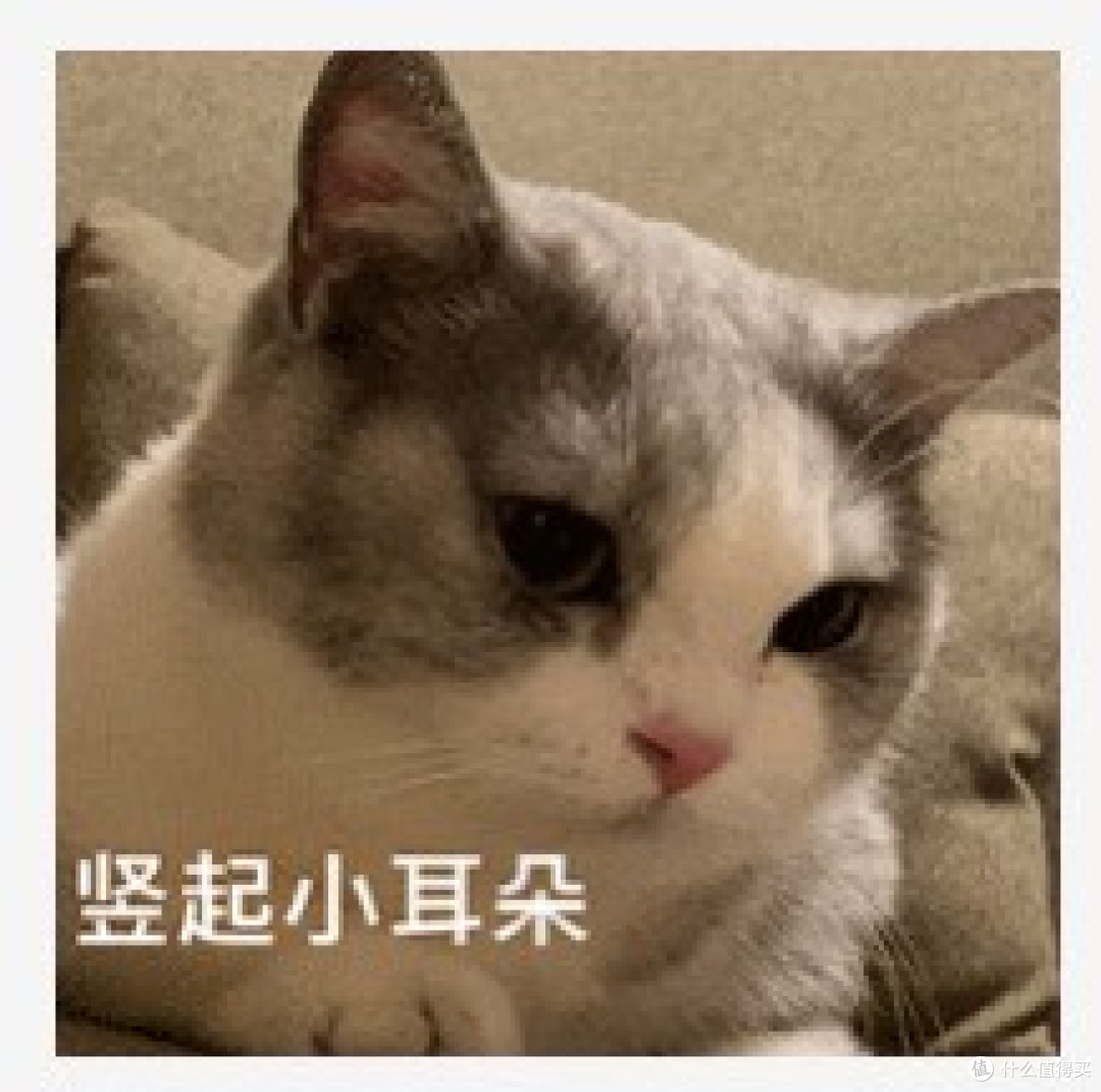 无叶风扇怎么选?宫菱、大宇、戴森、科西、米家等哪个牌子好?