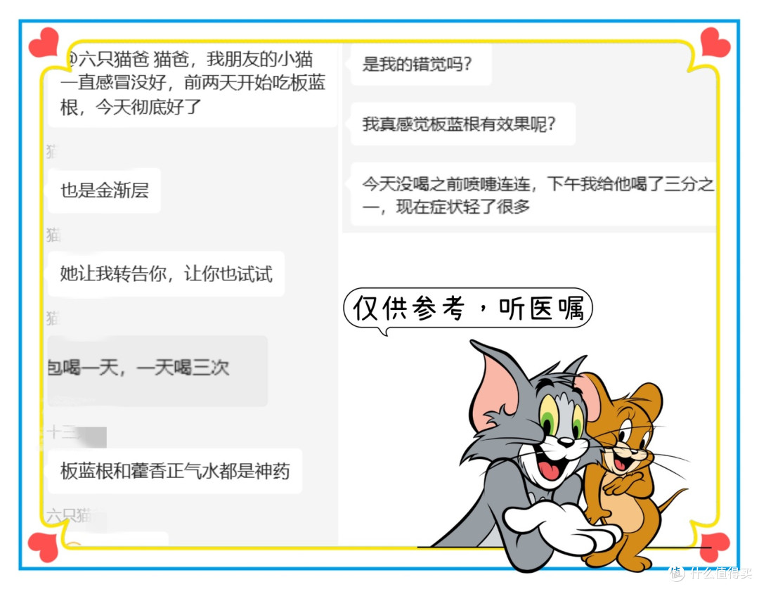 宠物群的猫爸，说最轻松的话，做着最“狠”的事—618大气的买家