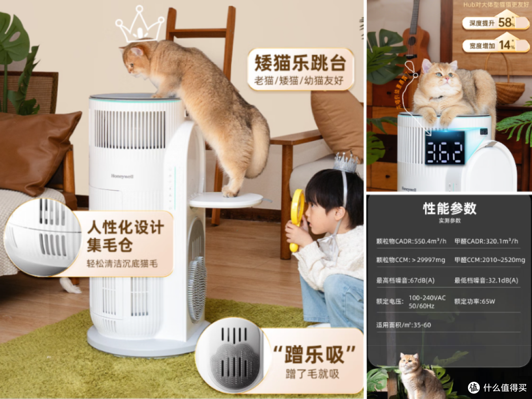 宠物群的猫爸，说最轻松的话，做着最“狠”的事—618大气的买家