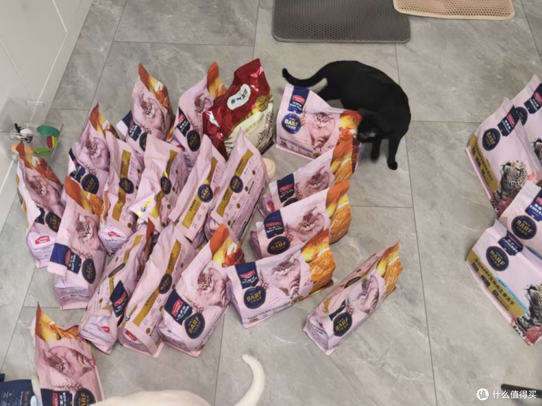 宠物群的猫爸，说最轻松的话，做着最“狠”的事—618大气的买家