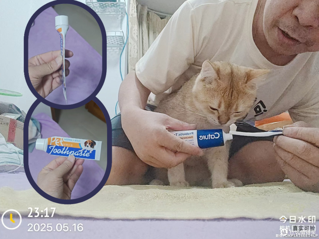 宠物群的猫爸，说最轻松的话，做着最“狠”的事—618大气的买家
