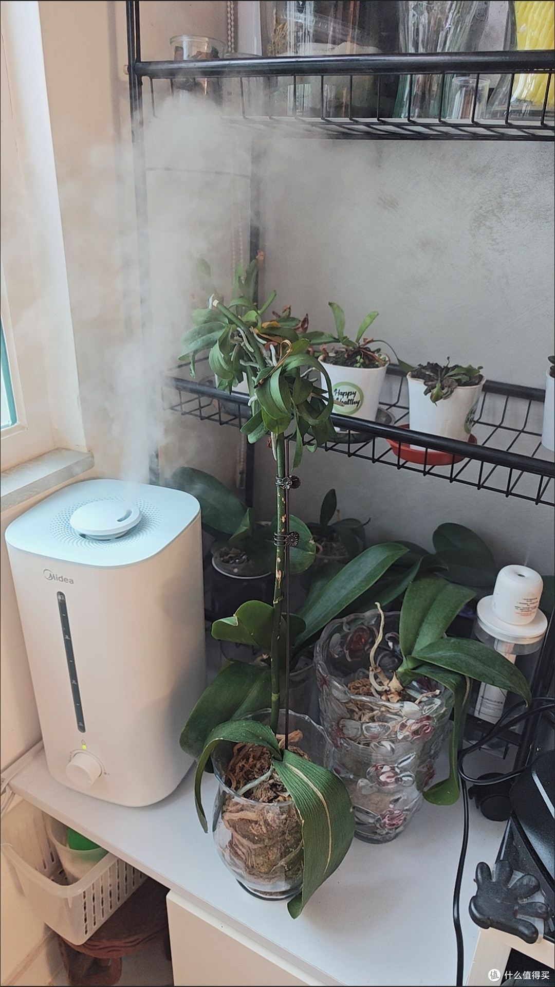 我挖到了618品质宝藏,美的加湿器