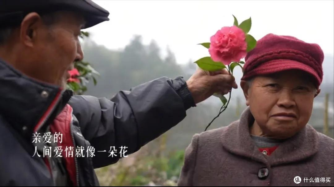 浪漫大抵如此吧!只因奶奶说了一句我喜欢花,爷爷就种了一辈子花