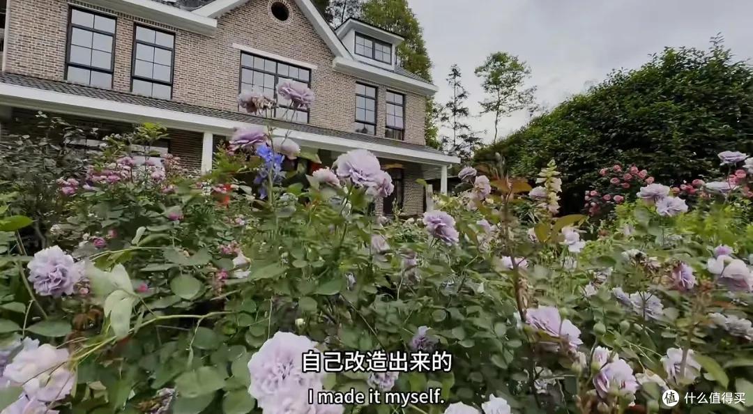 浪漫大抵如此吧!只因奶奶说了一句我喜欢花,爷爷就种了一辈子花