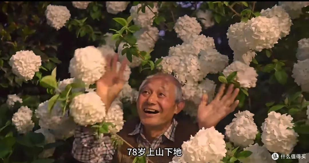 浪漫大抵如此吧!只因奶奶说了一句我喜欢花,爷爷就种了一辈子花