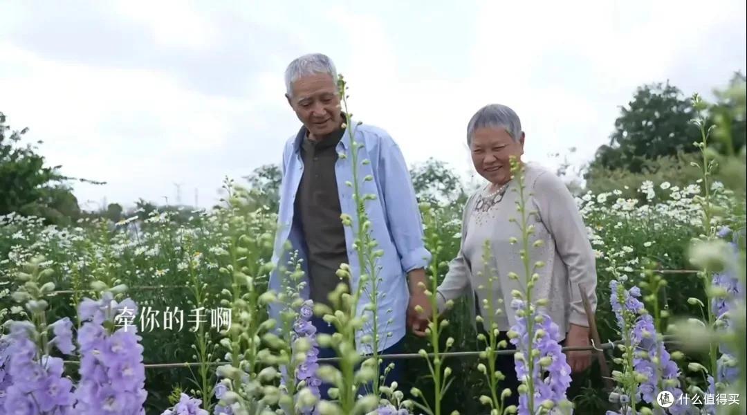 浪漫大抵如此吧!只因奶奶说了一句我喜欢花,爷爷就种了一辈子花
