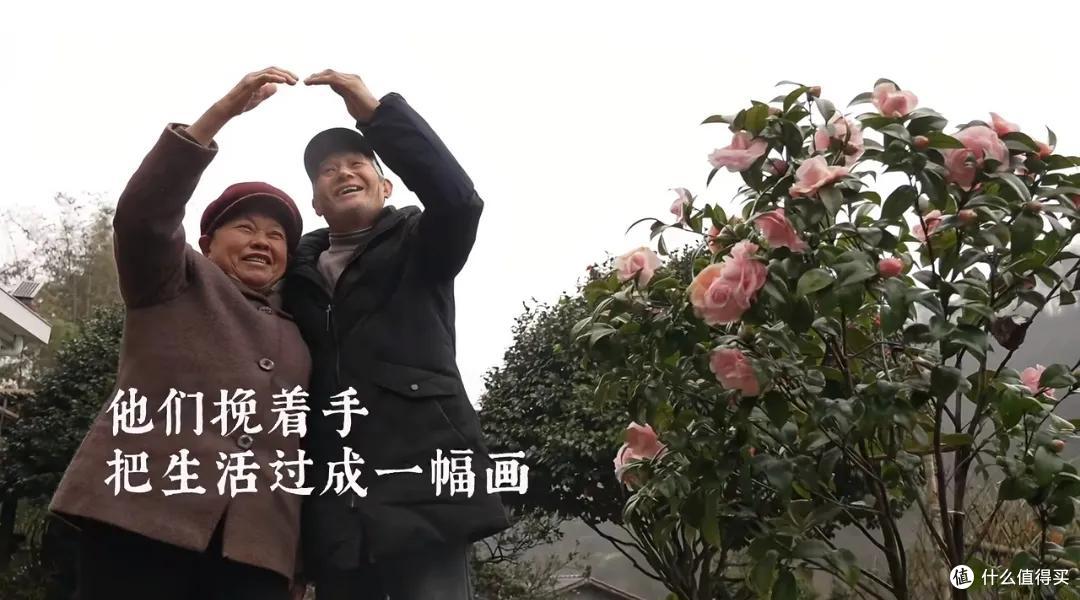 浪漫大抵如此吧!只因奶奶说了一句我喜欢花,爷爷就种了一辈子花