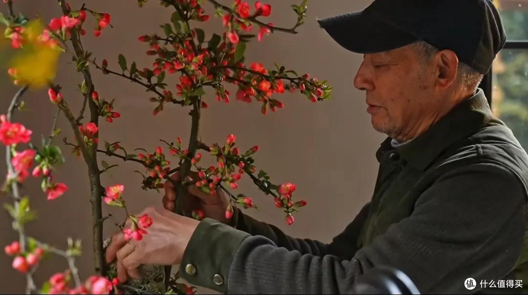 浪漫大抵如此吧!只因奶奶说了一句我喜欢花,爷爷就种了一辈子花
