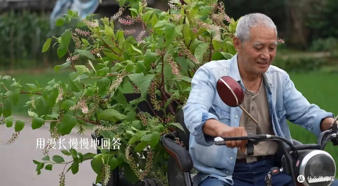 浪漫大抵如此吧!只因奶奶说了一句我喜欢花,爷爷就种了一辈子花