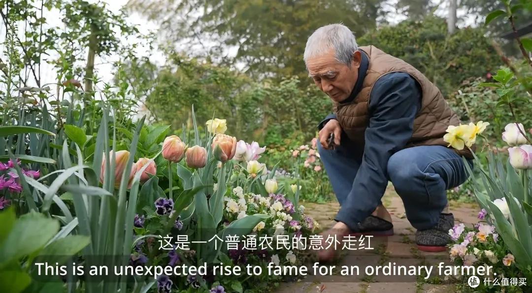 浪漫大抵如此吧!只因奶奶说了一句我喜欢花,爷爷就种了一辈子花
