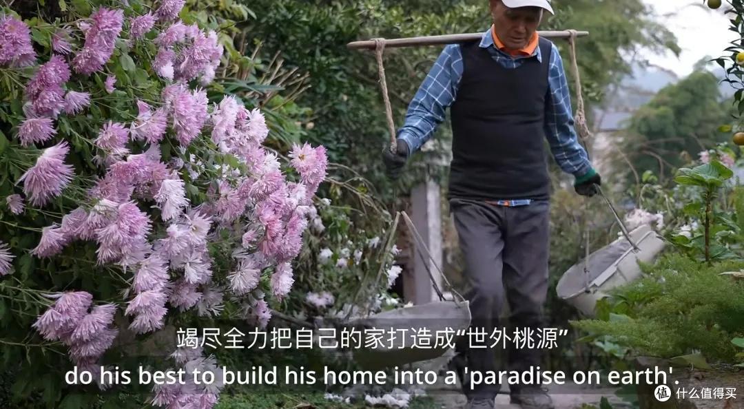 浪漫大抵如此吧!只因奶奶说了一句我喜欢花,爷爷就种了一辈子花