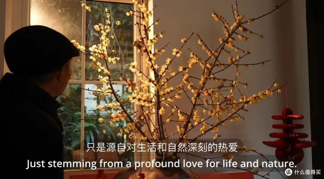 浪漫大抵如此吧!只因奶奶说了一句我喜欢花,爷爷就种了一辈子花