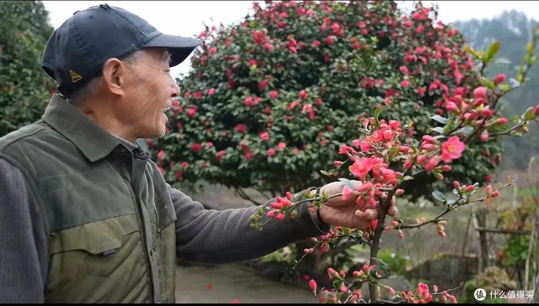 浪漫大抵如此吧!只因奶奶说了一句我喜欢花,爷爷就种了一辈子花