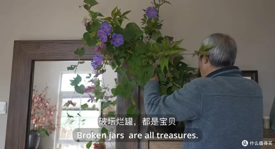 浪漫大抵如此吧!只因奶奶说了一句我喜欢花,爷爷就种了一辈子花