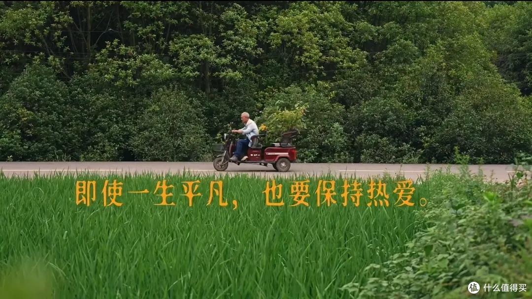 浪漫大抵如此吧!只因奶奶说了一句我喜欢花,爷爷就种了一辈子花