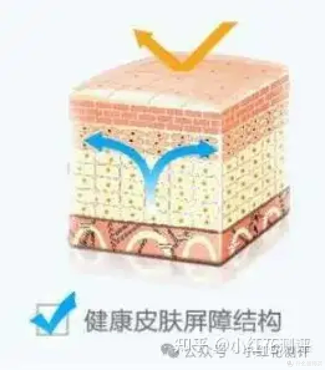 跳绳、球拍塑化剂超标严重?还会通过呼吸摄入?花爸帮你缓解焦虑