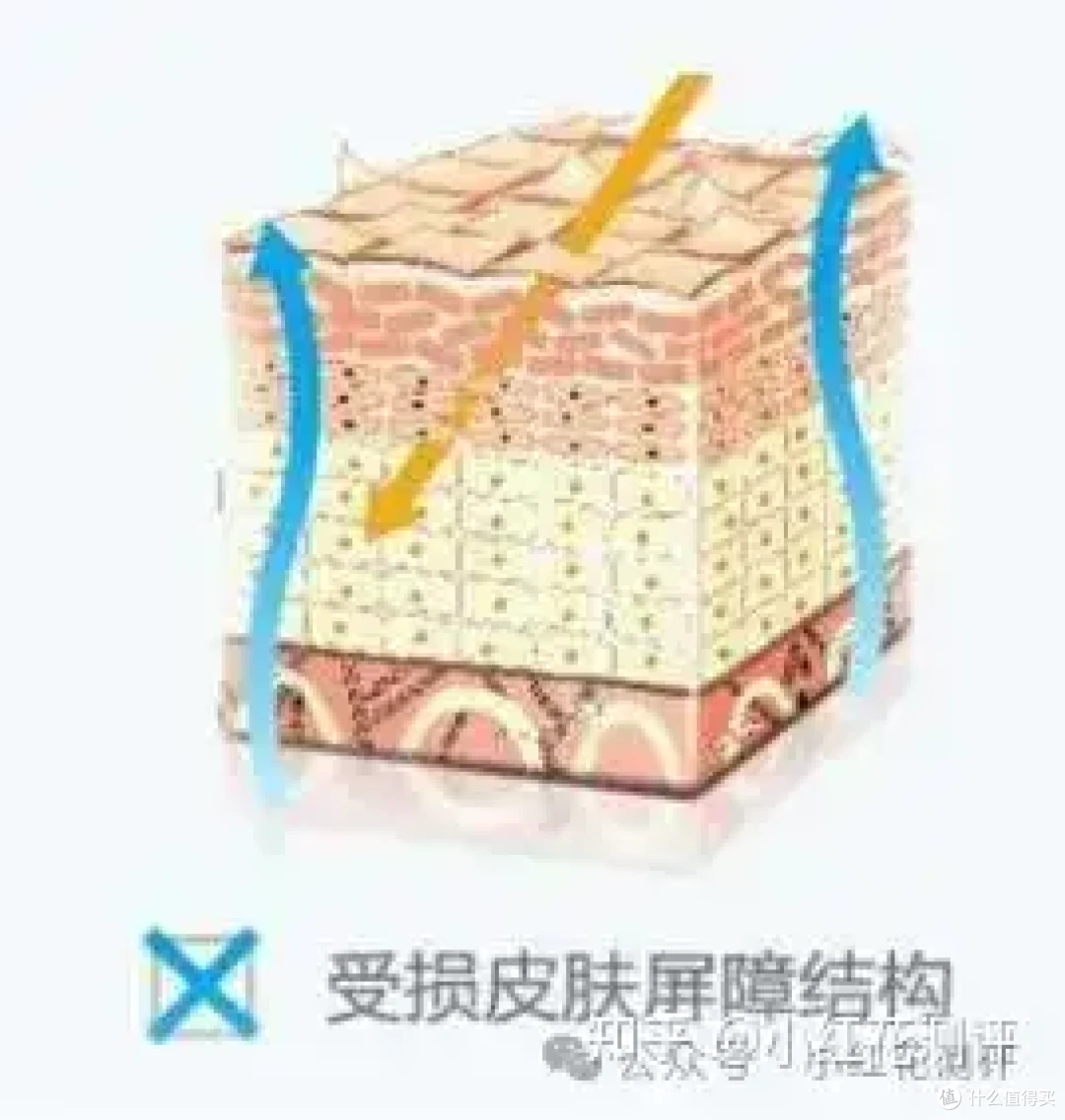 跳绳、球拍塑化剂超标严重?还会通过呼吸摄入?花爸帮你缓解焦虑