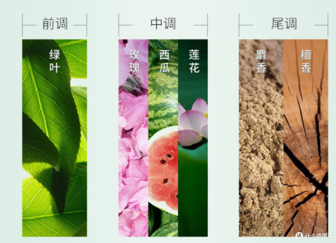 卡诗双重功能洗发水，开启秀发焕新奇迹