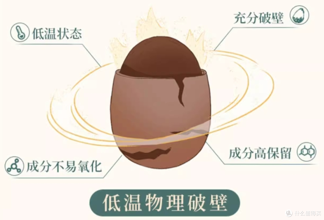 2025灵芝孢子粉六大品牌对比:哪一款才是真正的高品质之选?